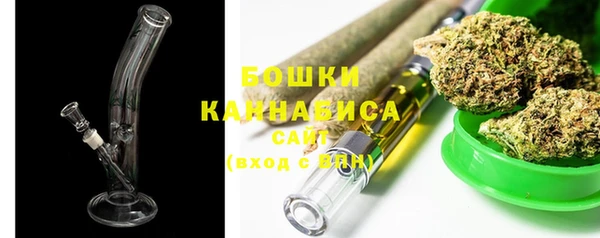 спайс Каменка