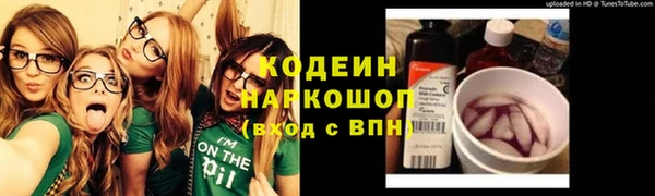 спайс Каменка
