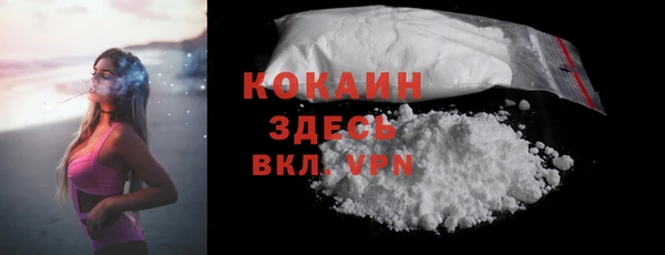 спайс Каменка
