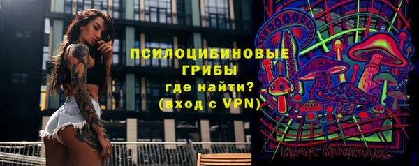 спайс Каменка