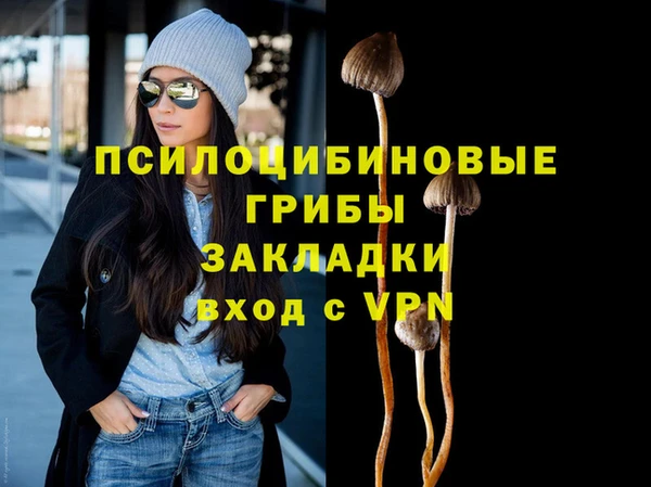 спайс Каменка