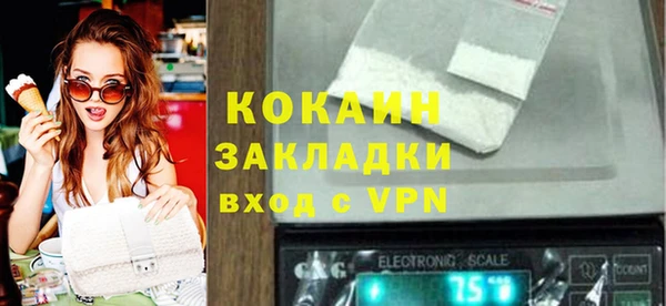 спайс Каменка