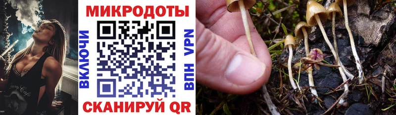 Купить  Всеволожск  Галлюциногенные грибы ЛСД 