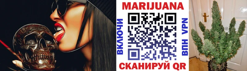 Шишки марихуана семена Купить где Всеволожск